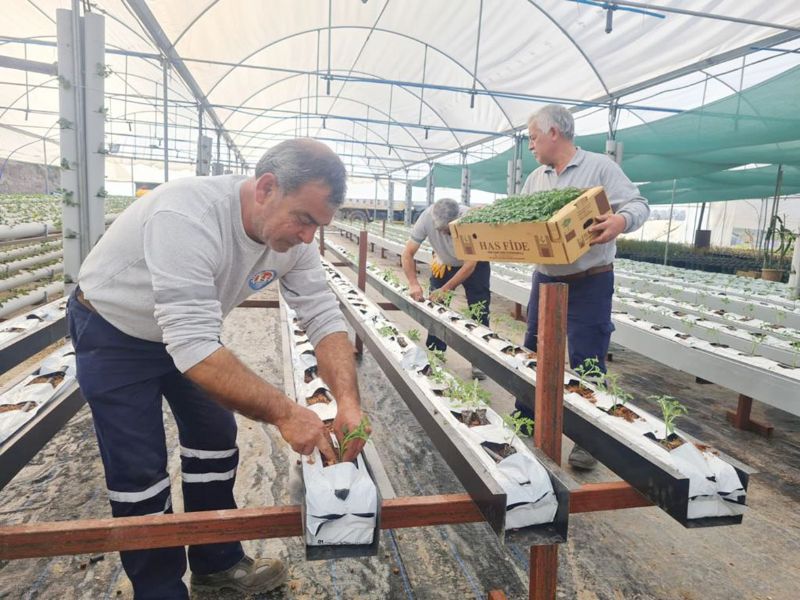 Mezitli Belediyesi, topraksz tarm iin adm att...