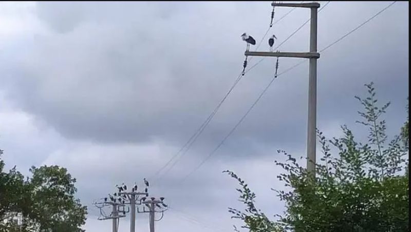 �Her elektrik kesintisinin nedeni ayn� de�ildir�