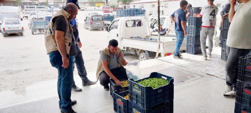 Mut Sebze Hali arazi devri bir an nce yaplsn!  ...