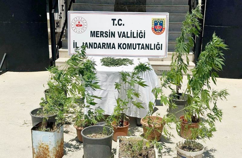 Mersin’de uyuturucu operasyonu...