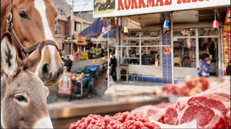 K�yma diye kanatl� eti ve sakatat yedirmi�ler