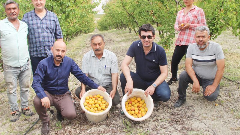 Ya meyve sebze ihracat  963,4 milyon dolar ulat...