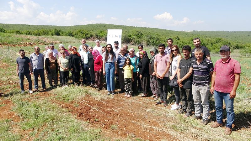 Erdemlide 850 rakma modern ceviz bahesi kuruldu...