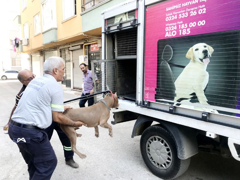 HAYDݒ polisinden aralksz denetim...