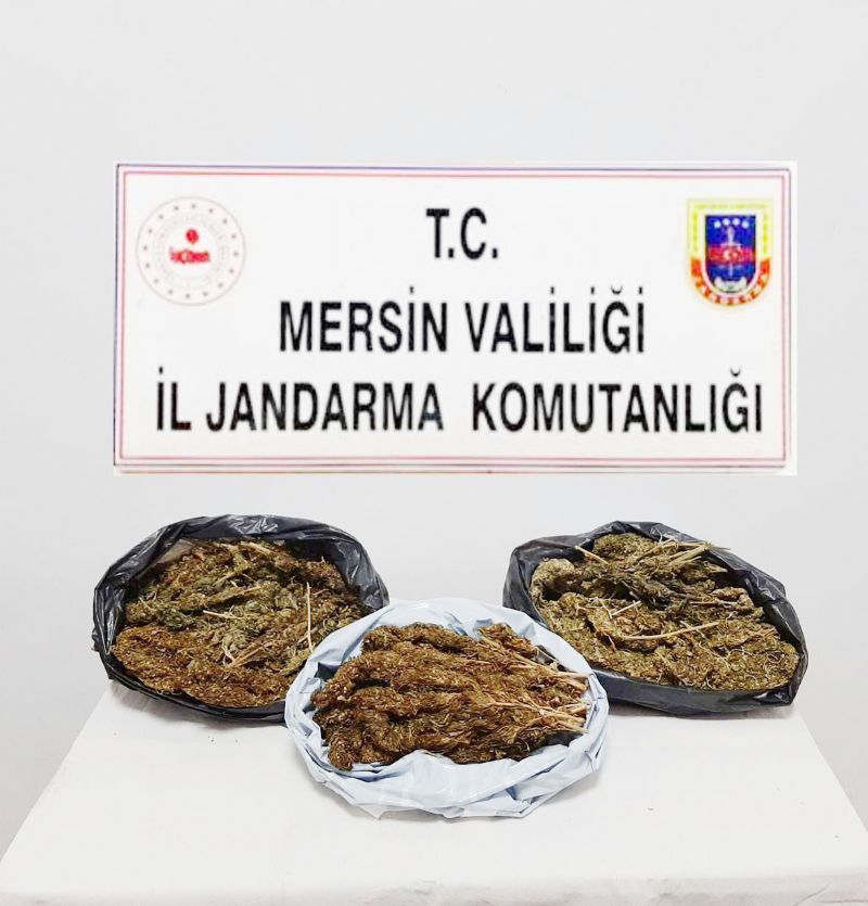 Toroslarda 10 kilo 248 gram skunk ele geirildi...