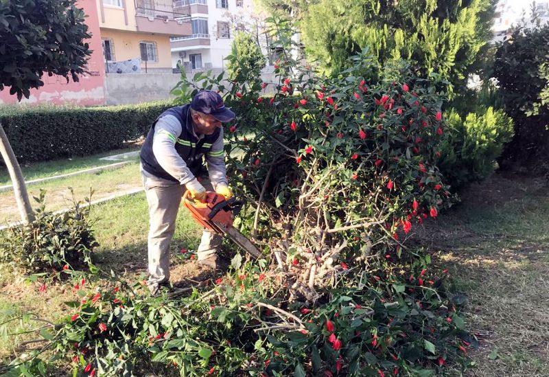 Park, yeil alan ve spor tesisleri bakmdan geiyor...