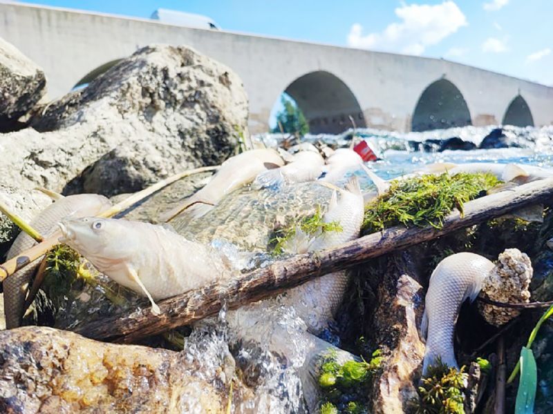 Tarsus, Seyhan ve Ceyhan  ar kirlilik tehdidi altnda!