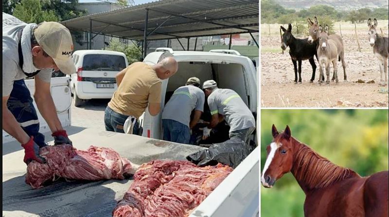 MERS�N�DE Y�NE AT ET� SKANDALI YA�ANDI!