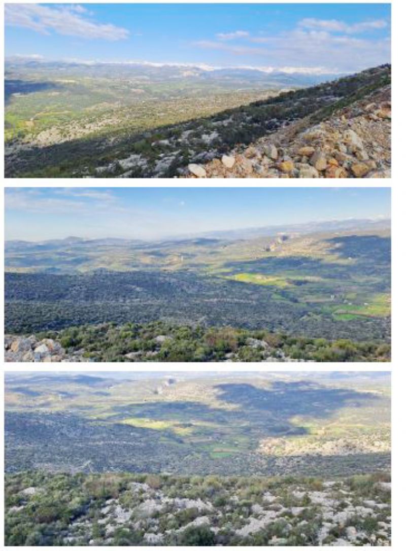 TARSUS�UN KALB�NE 70 FUTBOL SAHASINA BEDEL TA� OCA�I HAMLES�!