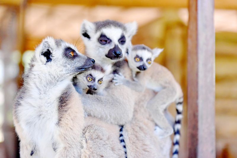 Tarsus Doa Park yeni yelerine kavutu...