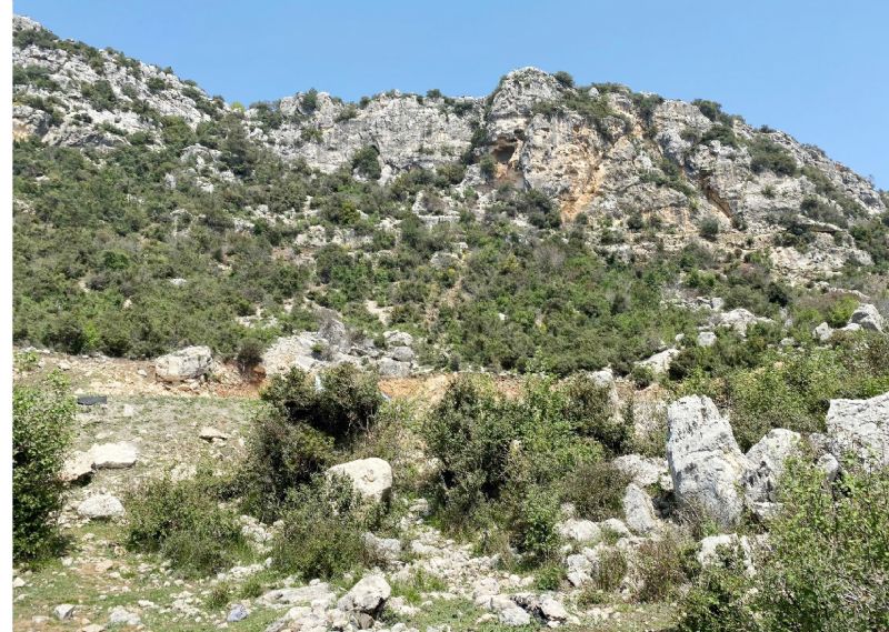 MADEN ��RKETLER� MERS�N�� KU�ATIYOR!