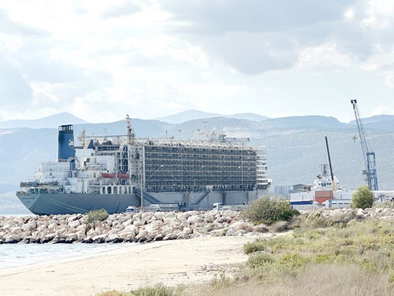 Taucundan canl hayvan  tamacln durdurun!...