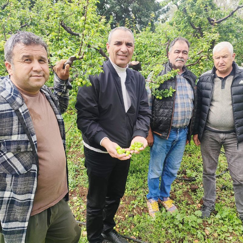 Silifke�de hasar tespit �al��malar� ba�lad�