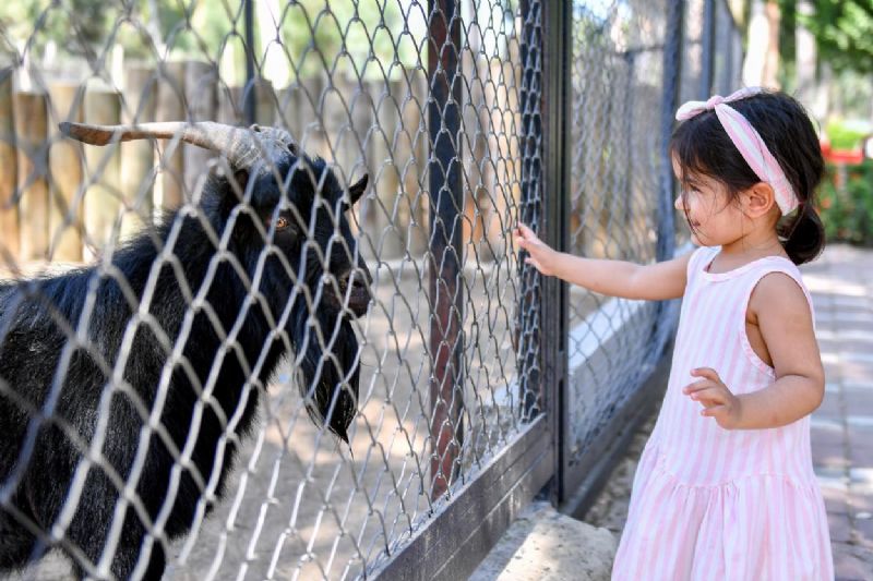 Tarsus Doa Park,  binlerce kiiyi arlad...