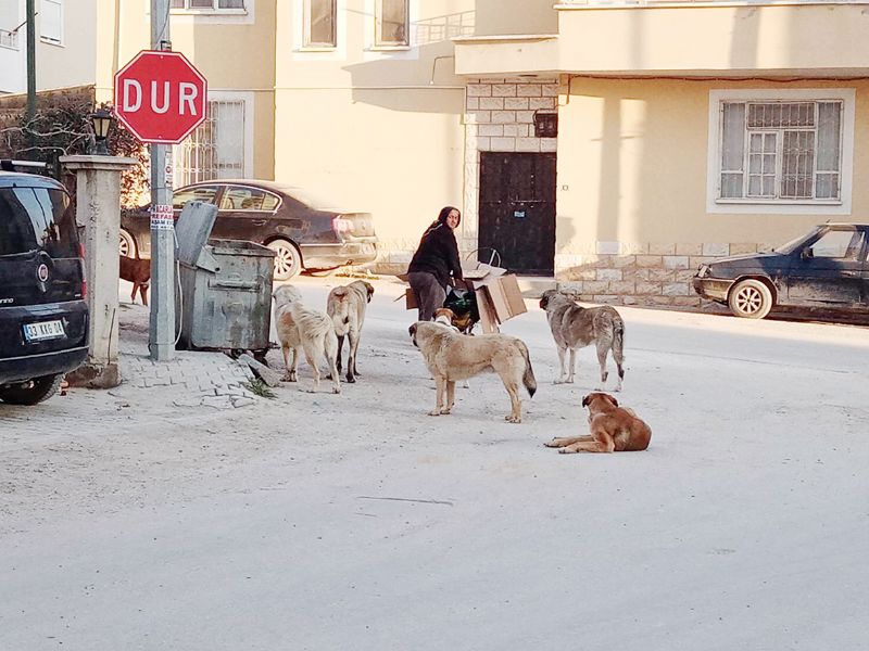 Kentdalarmzn yaamasn istiyoruz...