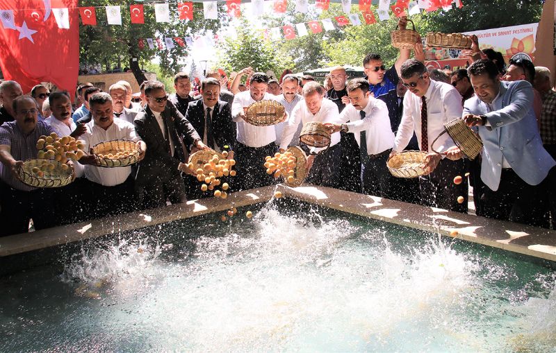 Mut kay�s� festivali ile renklenecek