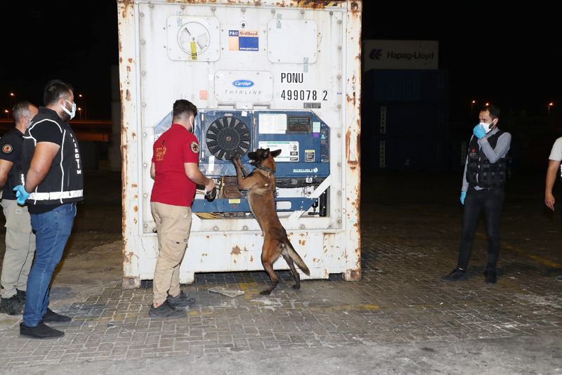 Muz ykl konteynrda  48 kilo kokain ele geirildi...