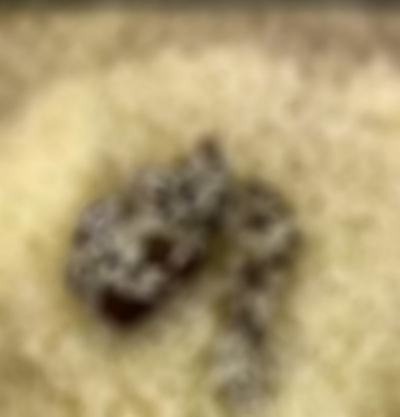 P�R�N�TE �OKE EDEN G�R�NT�: 52 B�N TL CEZA KES�LD�