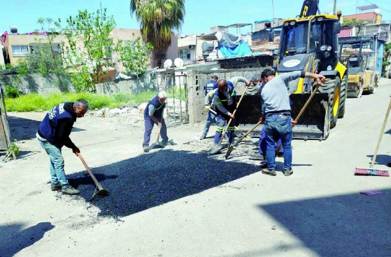 Akdenizin ehresini deitiriyor...