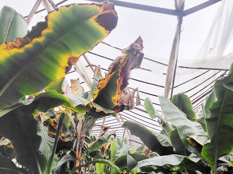 MERS�N ��FT��S� DESTEK BEKL�YOR! 