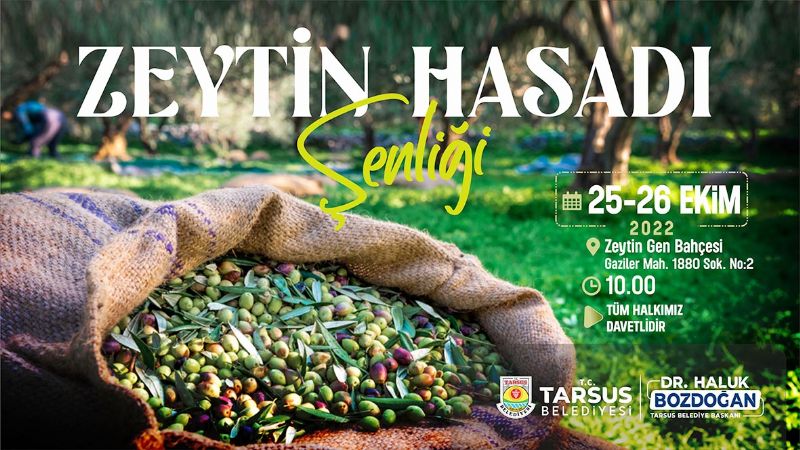 Tarsus Zeytin Hasat enlii balyor...