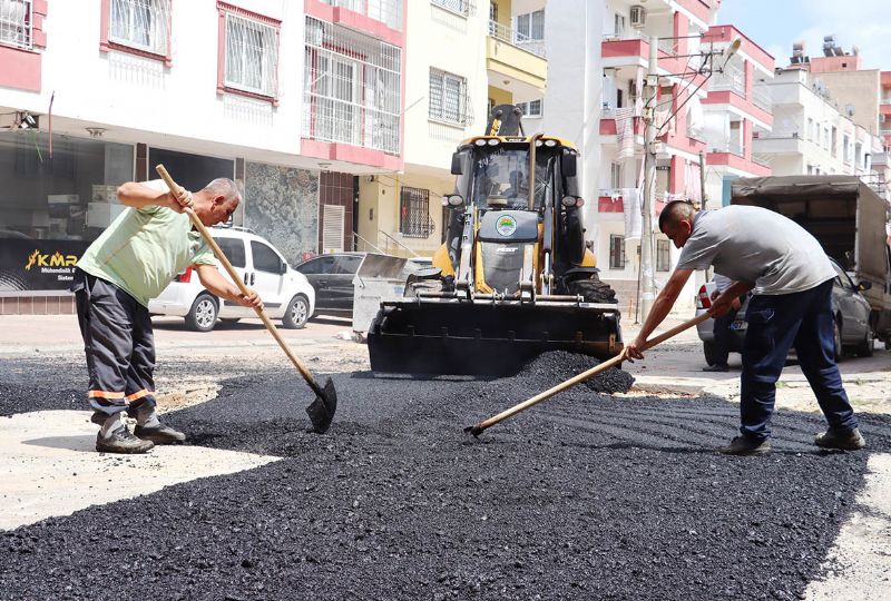 Toroslarda asfalt ata balad...