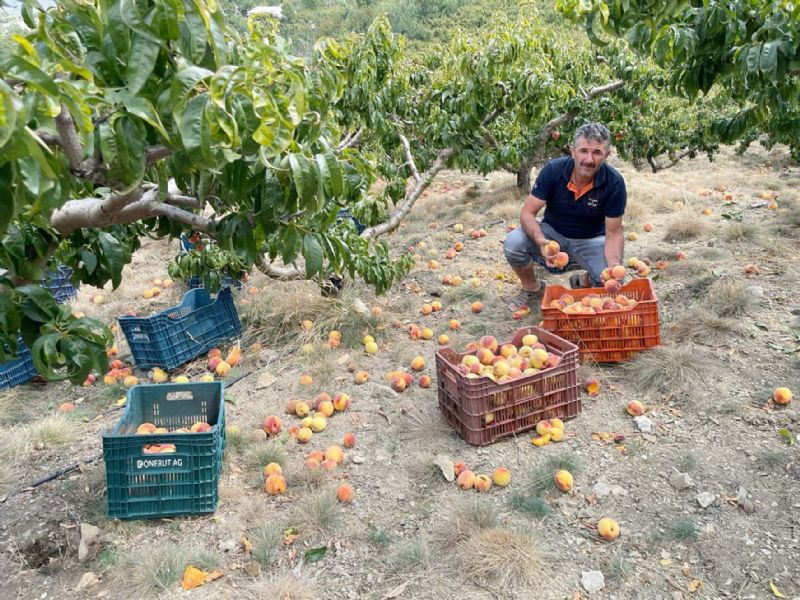 Mersinli eftali reticisi isyanda!...