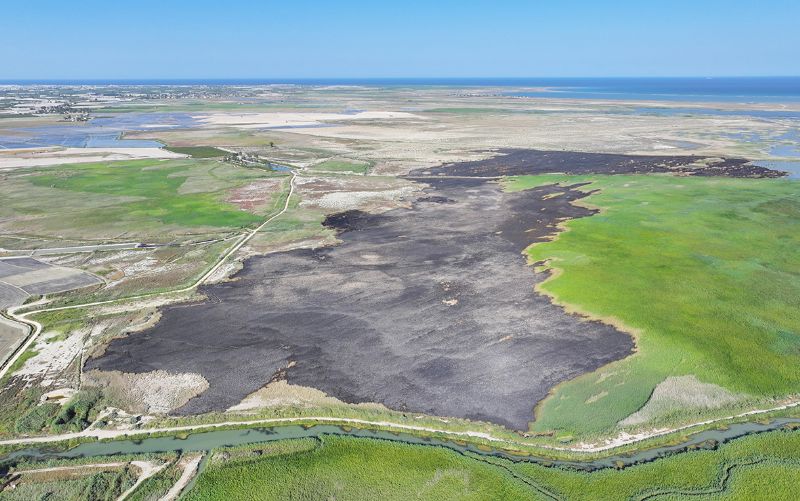 Mersin�in �Su Y�netim  Plan��na ihtiyac� var