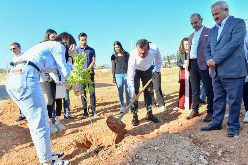 Yeniehirden yap kullanma izinlerinde aa dikim zorunluluu ...