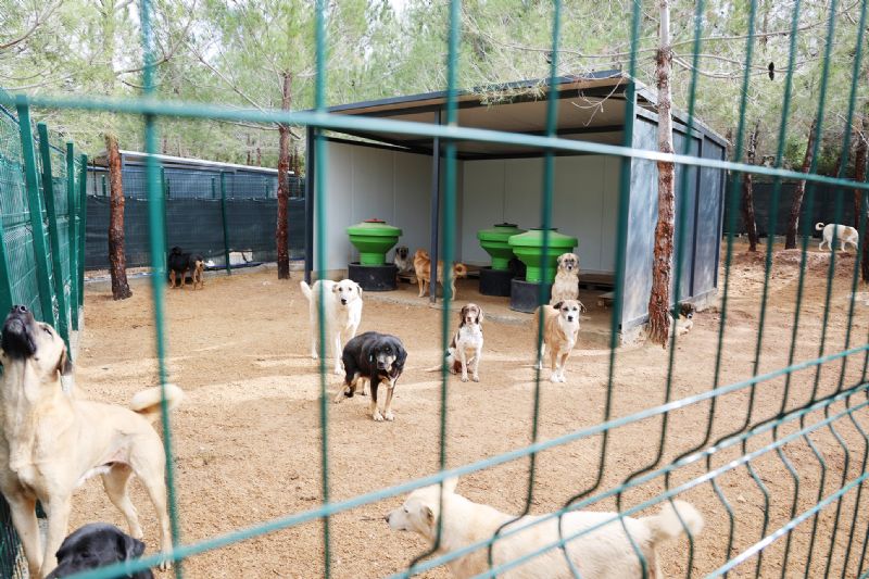 Bar�naklar i�in belediyelere g�rev verildi, b�t�e verilmedi