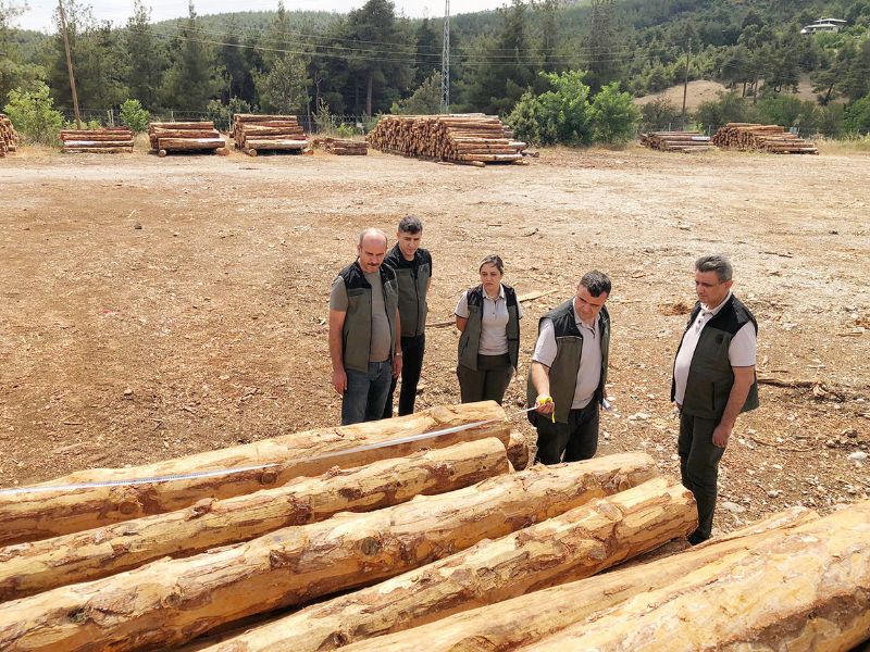 Ormanclar Tarsusta incelemelerde bulundu...