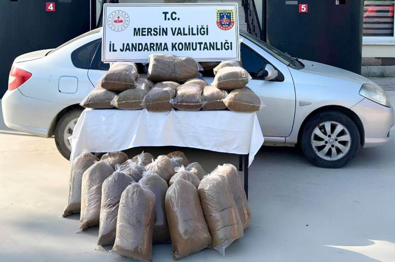 Mersin’de 310 kilo kaak ttn ele geirildi...