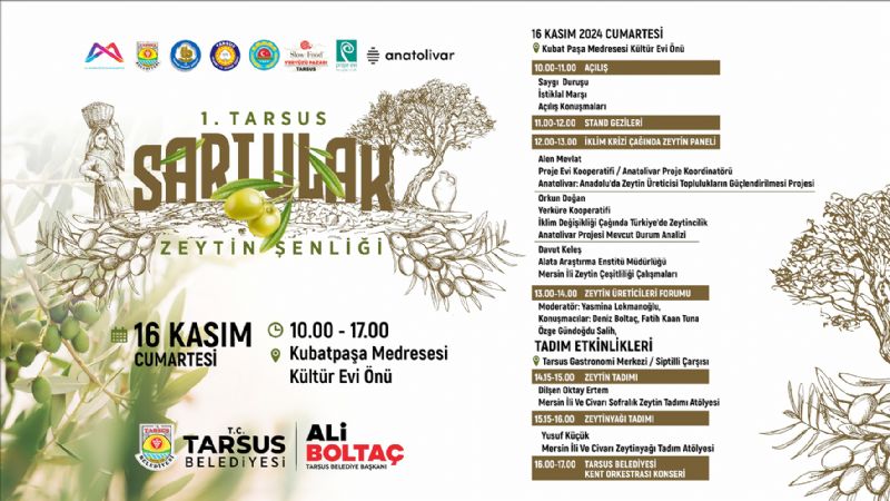 Tarsus Sarulak Zeytin enlii balyor...