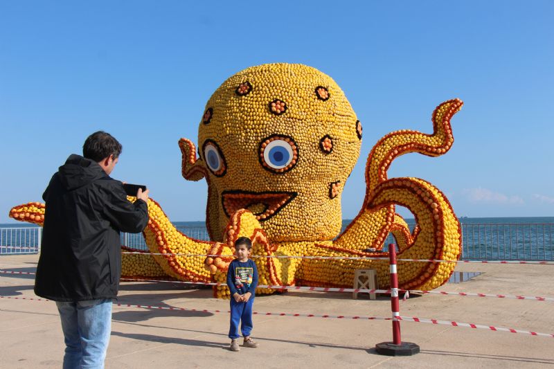 Mersin, 8. Narenciye Festivali’ne hazr...