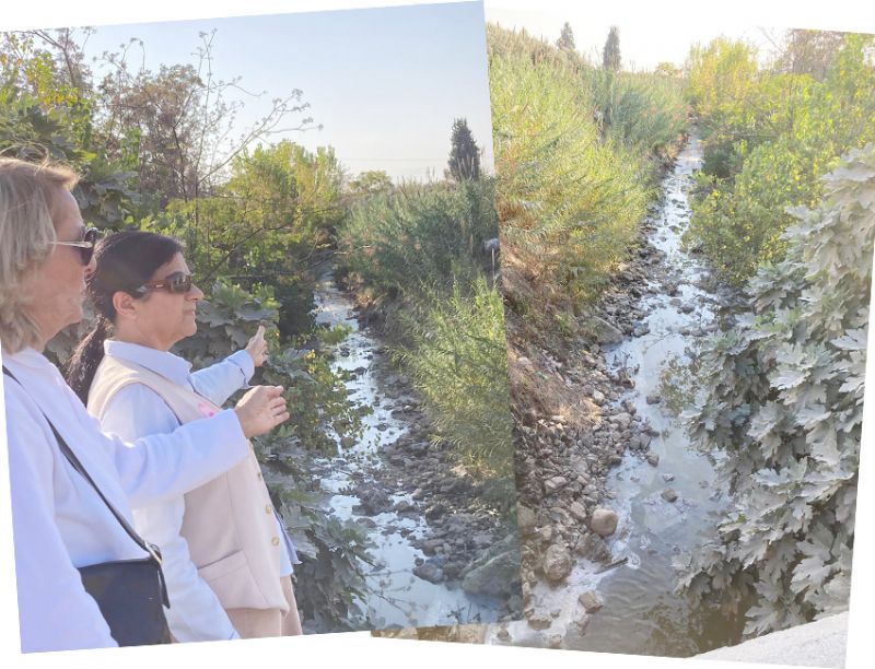 Saribrahimli zehirleniyor!