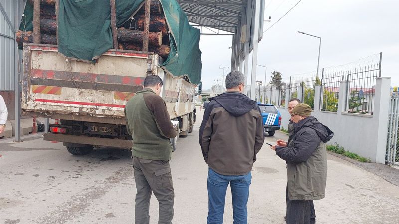 Orman su�lular� denetimle aran�yor