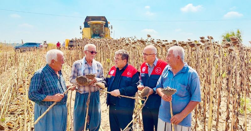 Tarsus�ta ay�i�e�inde 4 bin 485 ton rekolte bekleniyor