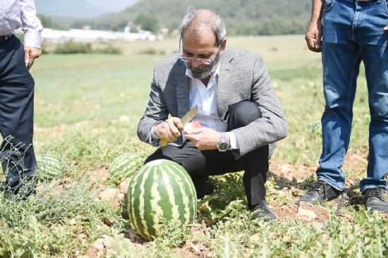 BELEDYE HALKA CRETSZ KARPUZ DAITACAK...