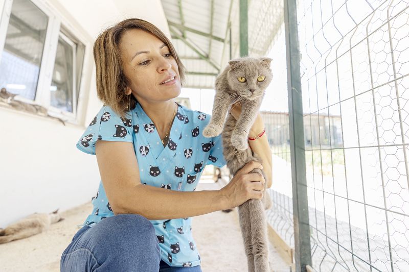 Silifke Rehabilitasyon ve Ya�am Alan� can dostlar�n g�venli liman�